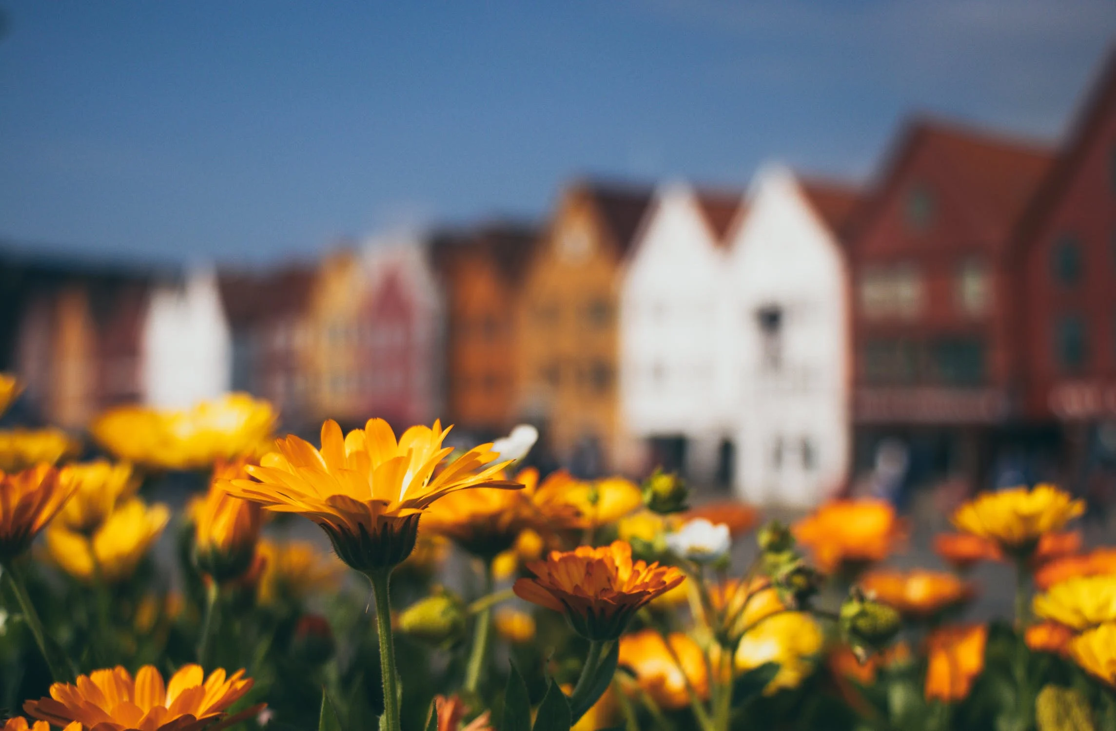 huizen